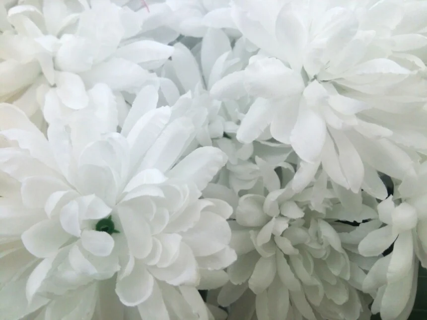 家族葬で頂いた供花のお返しについて